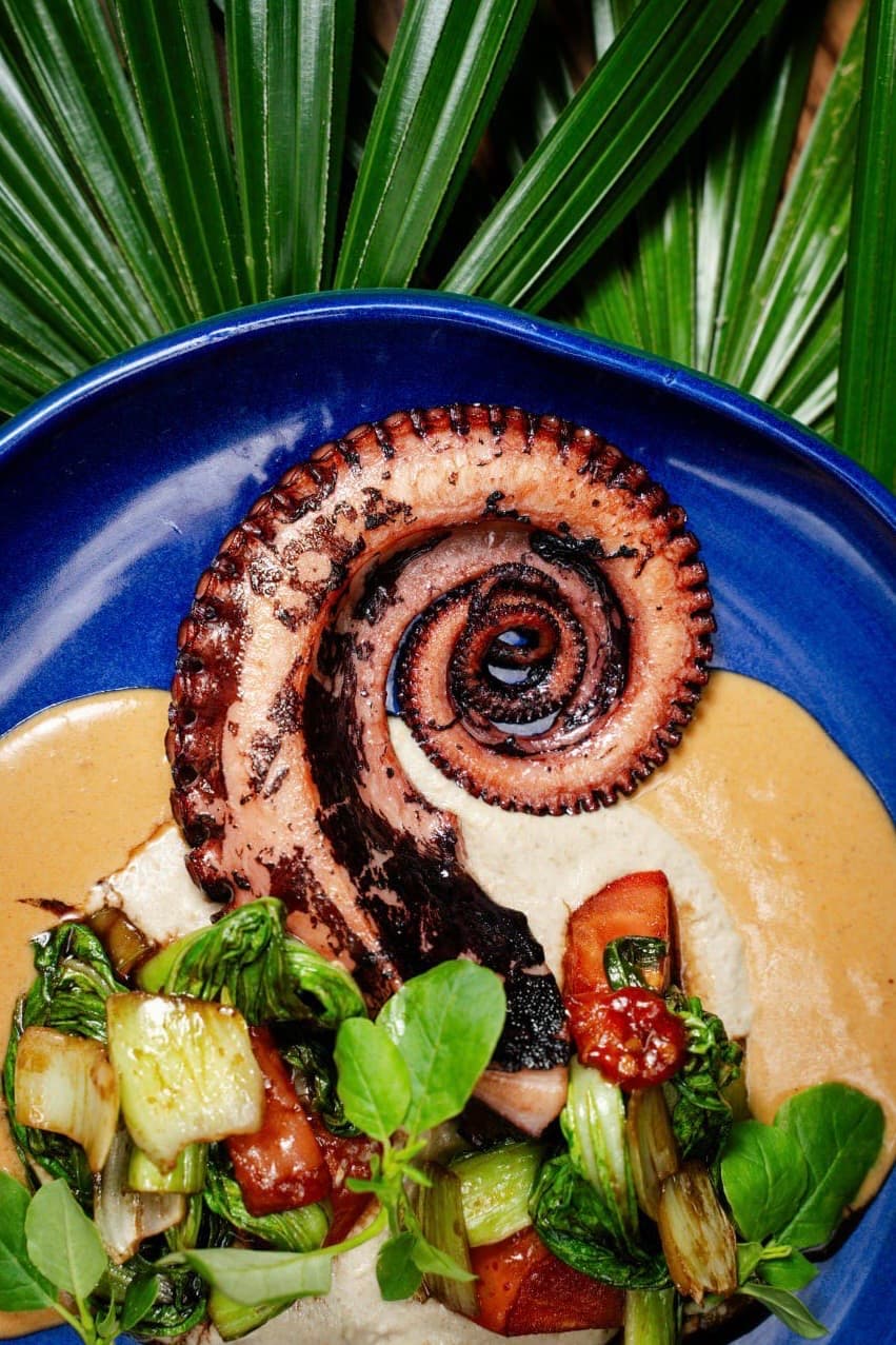 A grilled octopus tentacle plated on a deep cobalt-blue Redcocoon dish, set against palm fronds.