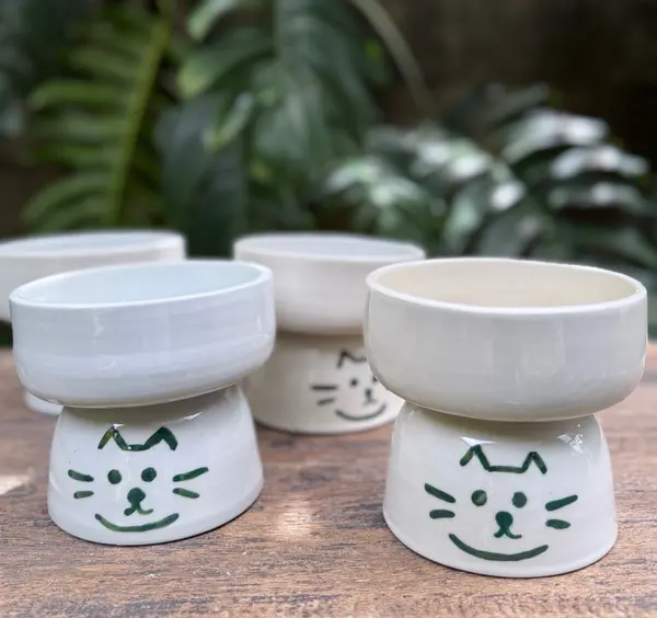 Pet Bowls