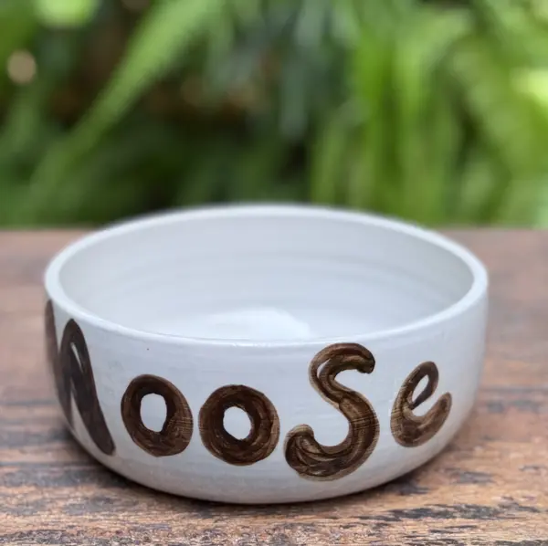 White ceramic pet bowl with 'Moose' hand-painted in brown lettering on a wooden surface.