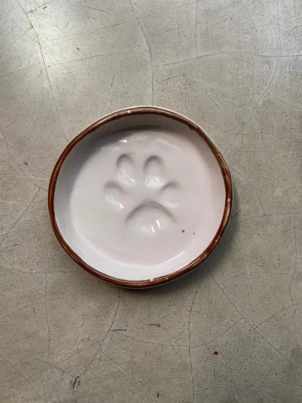 A small pink ceramic trinket plate with a central paw print indentation and a thin brown rim.