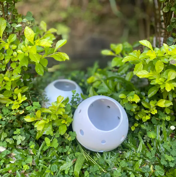 Two white spherical ceramic luminaries with circular holes, nestled in green garden foliage.